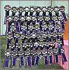 Lovely Show Rosettes
